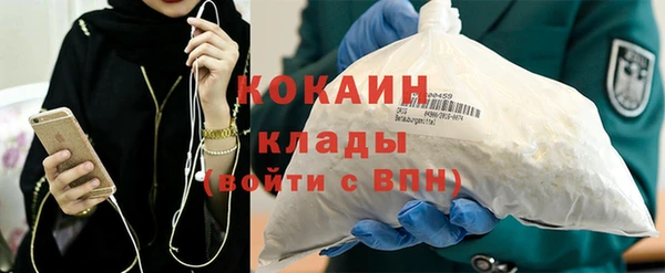 молекула духа Лихославль