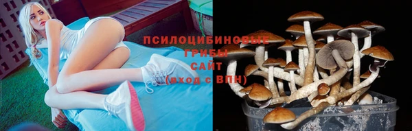 молекула духа Лихославль
