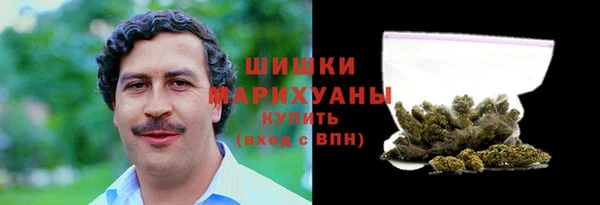 молекула духа Лихославль