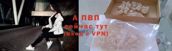 молекула духа Лихославль